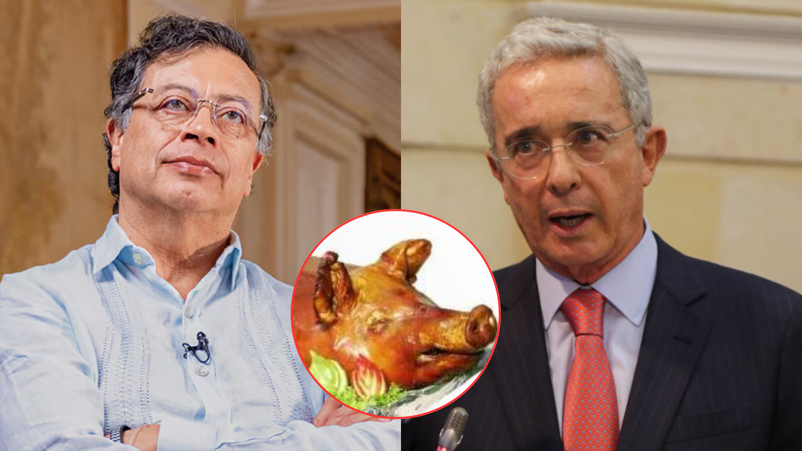 Uribe también arremete contra Petro por cifra de lechonas vendidas en Japón