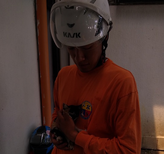 El rescate de 'pachito'