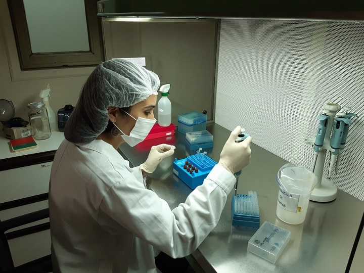 El covid-19 ya llegó a 42 municipios del Tolima