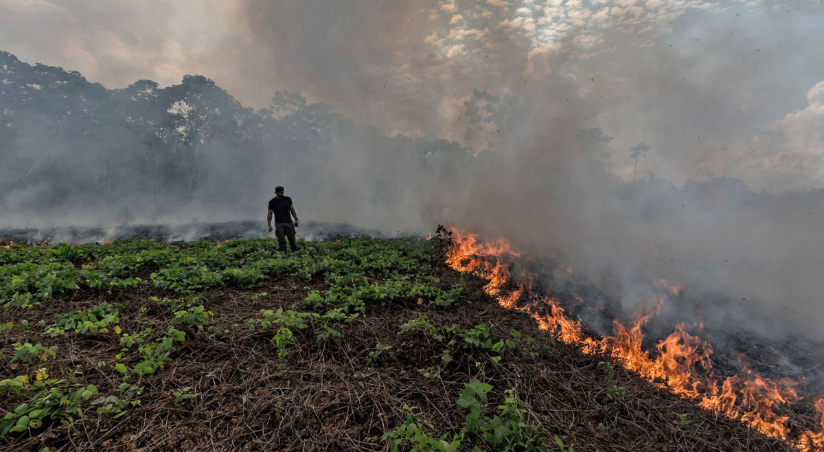 Deforestación y calentamiento global cambiaron temperaturas y precipitaciones