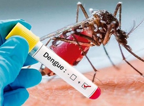 Cuatro personas fallecidas ha dejado el dengue en el Tolima