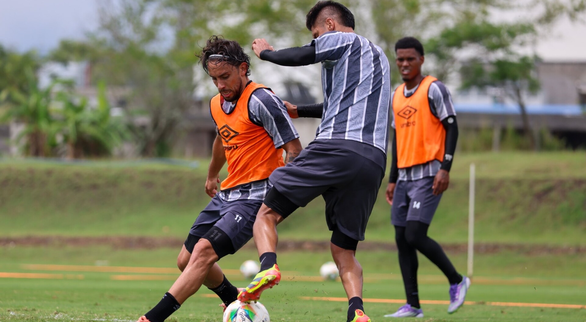 Deportes Tolima ante Envigado por tres puntos decisivos