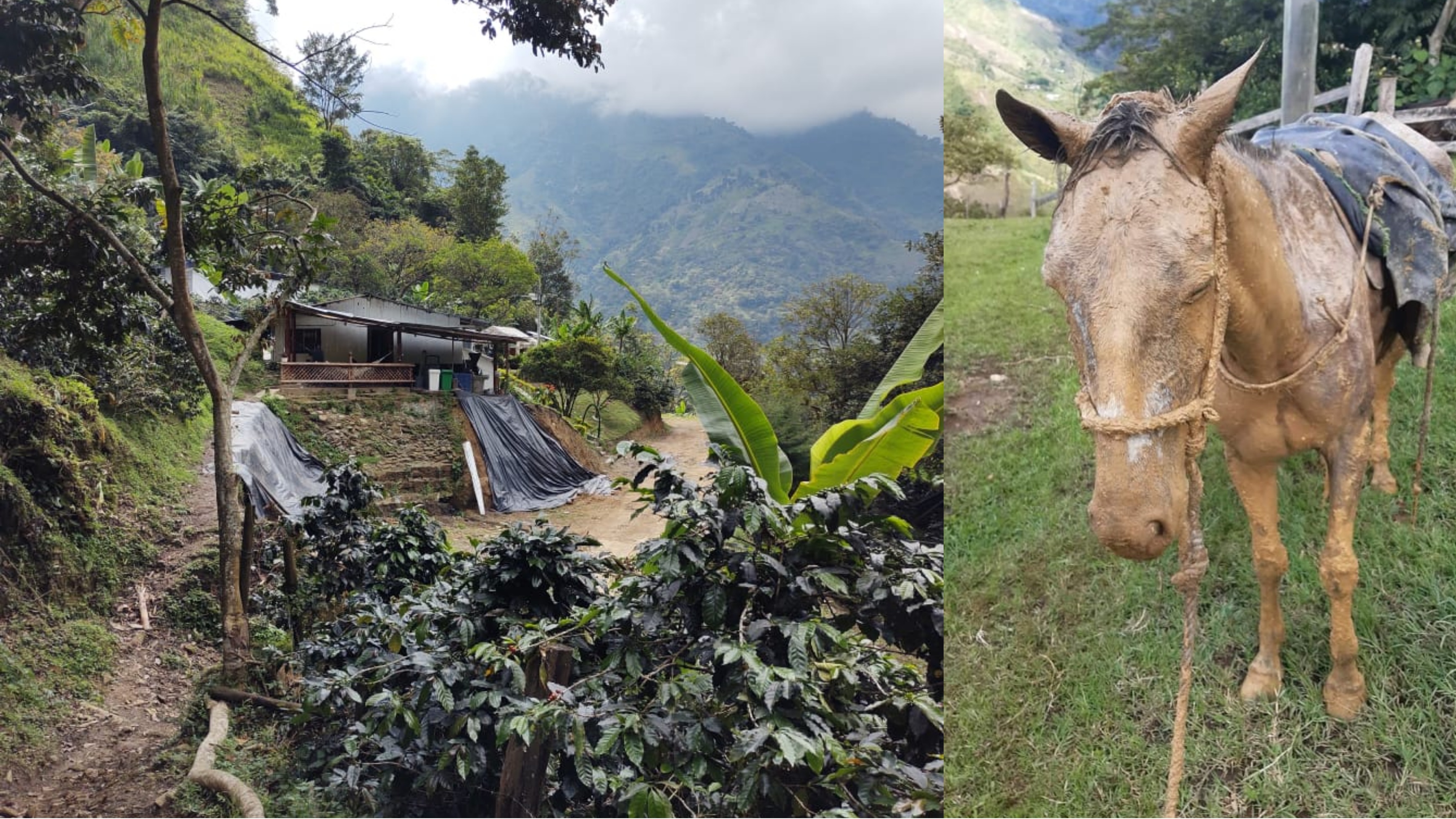Desde hace 6 meses incomunicadas 30 familias del sector rural de Ibagué