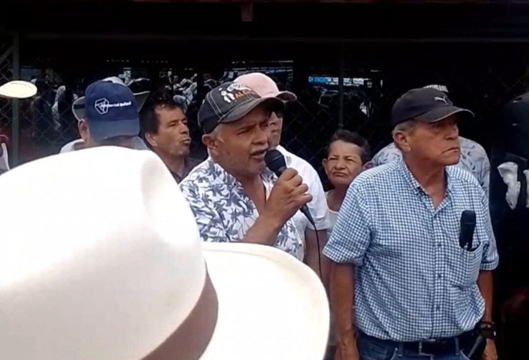 “Después del café, la economía del Líbano es la venta de carne de cerdo y pollo”