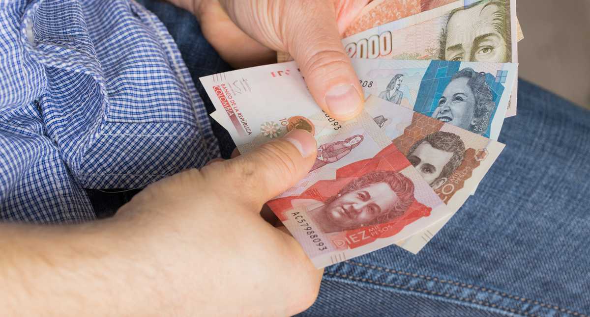 Deudores Alimentarios Morosos a Datacrédito