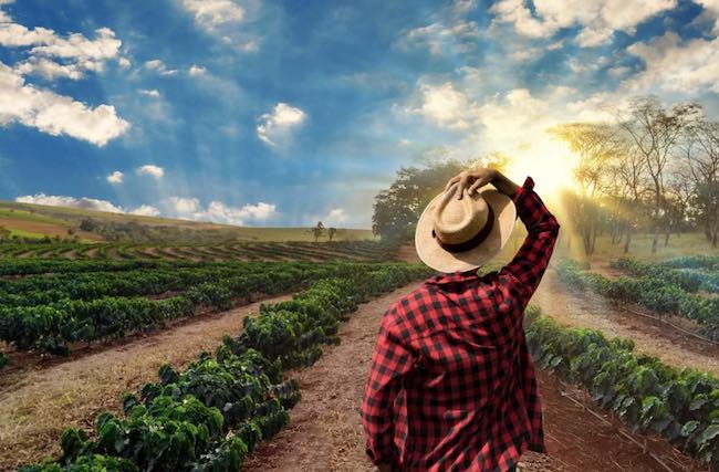 Yo compro café 100% colombiano