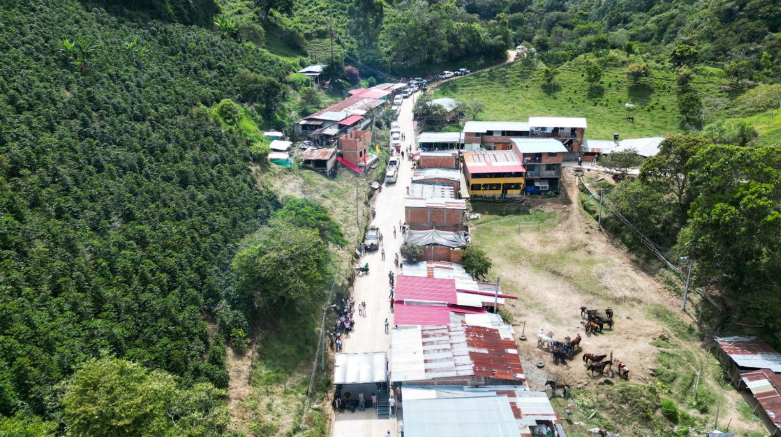 Conozca los beneficios y límites de la actualización catastral rural en Ibagué