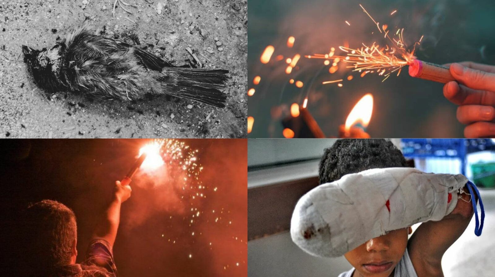 Autoridades departamentales llaman a evitar el uso de pólvora en el Tolima