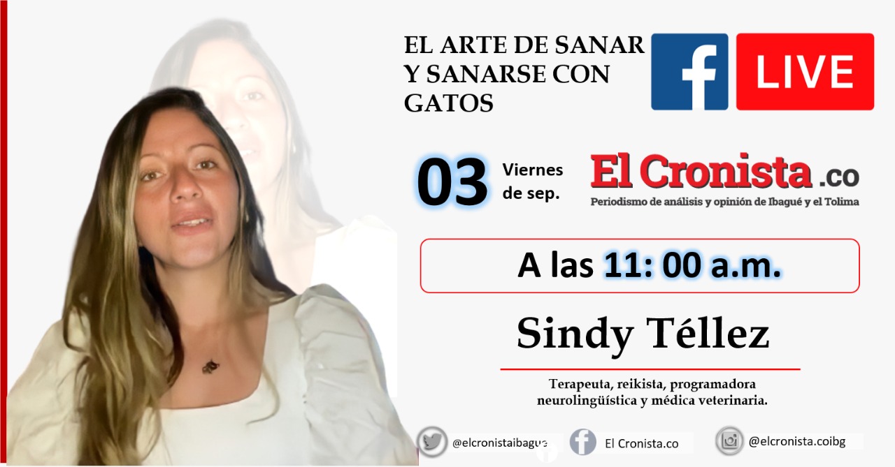 El arte de sanar y sanarse con gatos