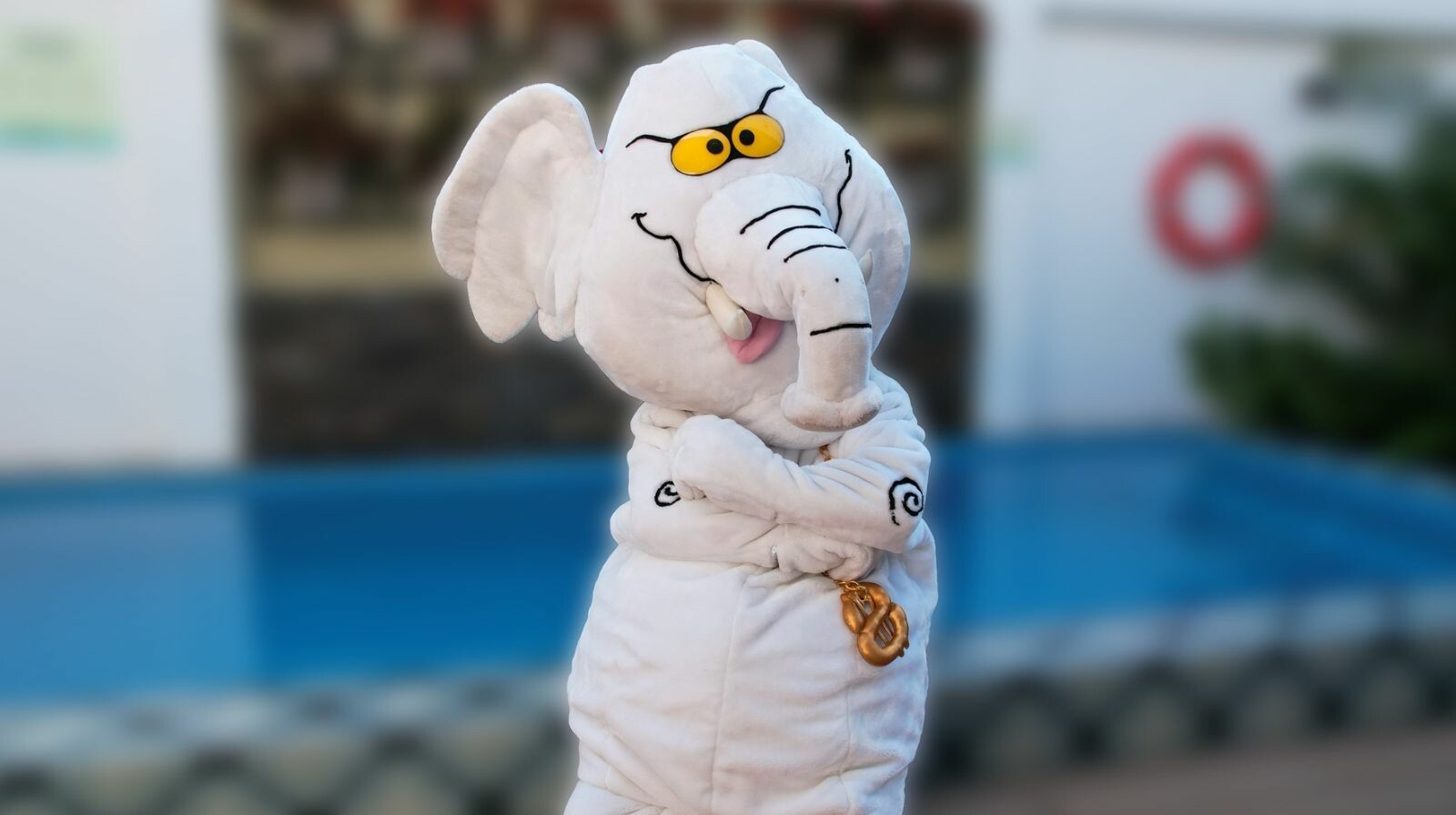 El “Elefante Blanco” que quiere llegar al Senado