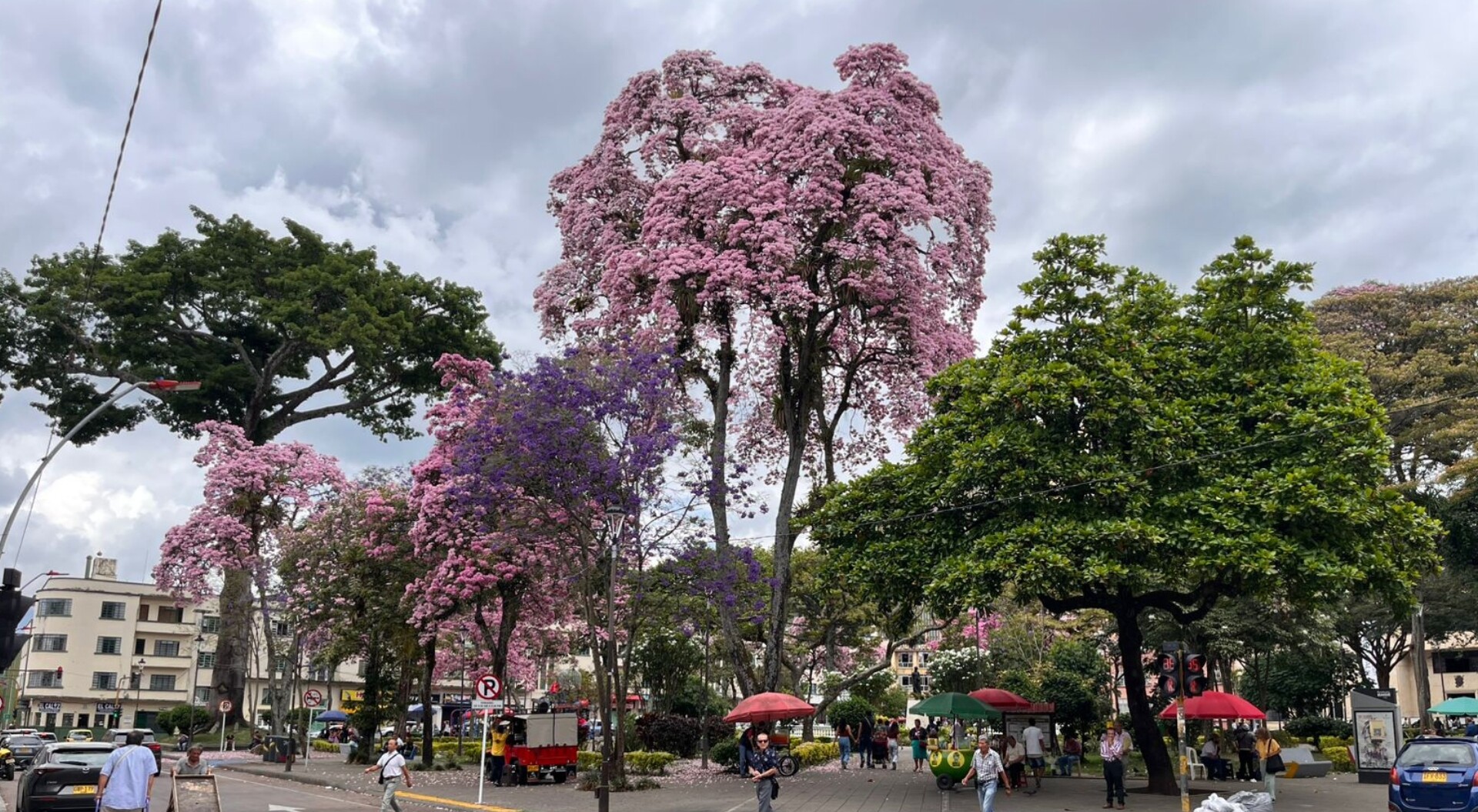 El mágico momento que vive Ibagué por estos días