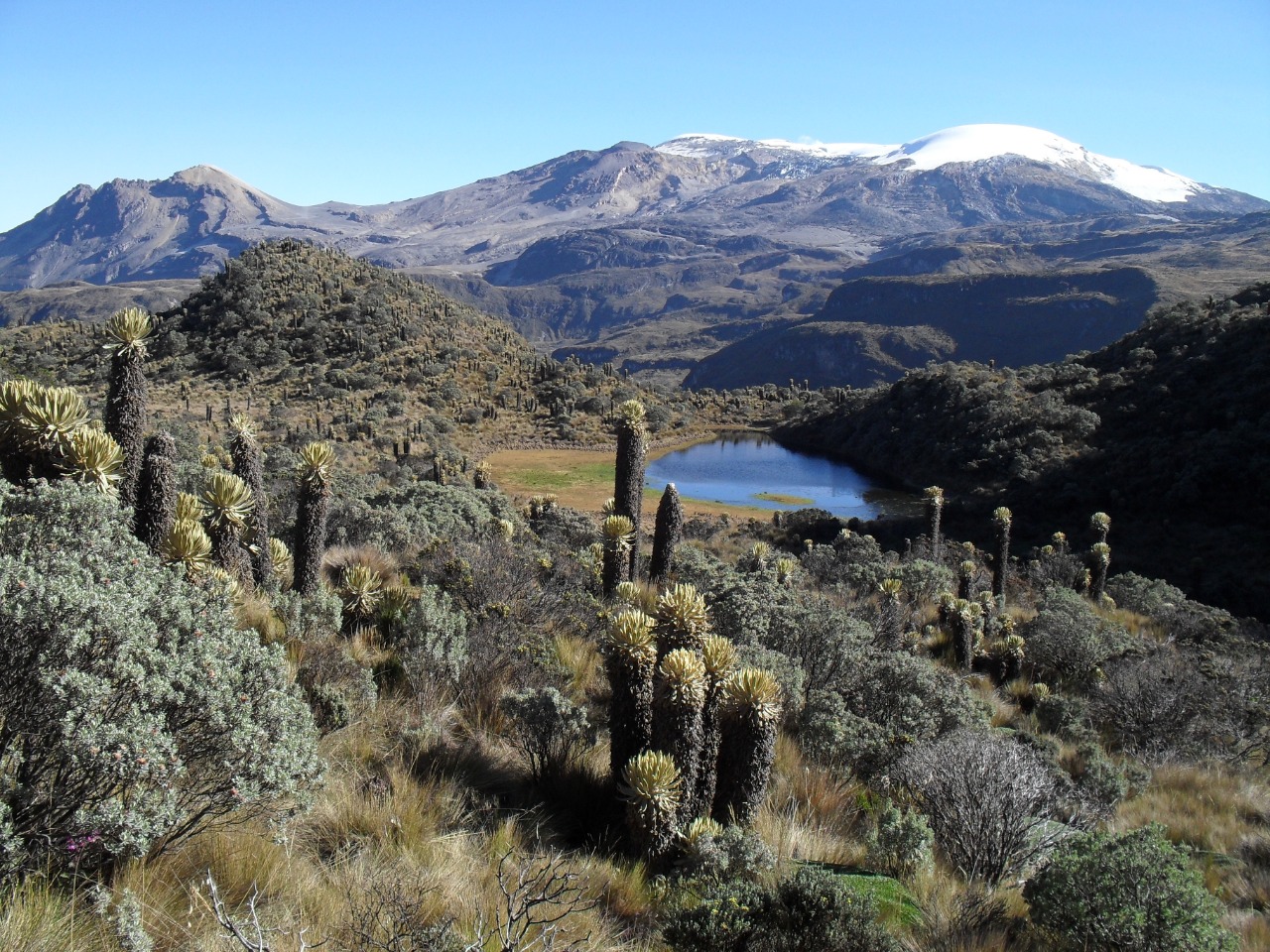 El Tolima comprometido en Geoparque del Ruiz