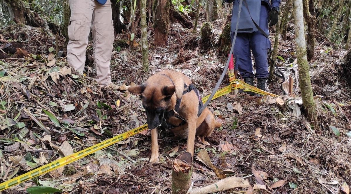 El Tolima emprende pasos seguros para un futuro libre de minas antipersonal