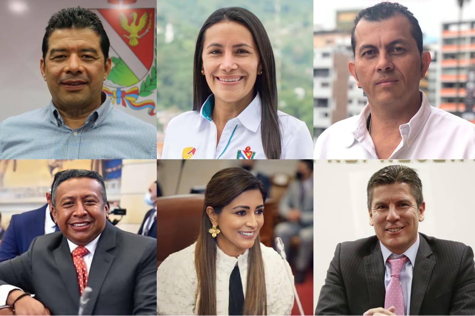 Renovación de la bancada parlamentaria del Tolima parece poco probable