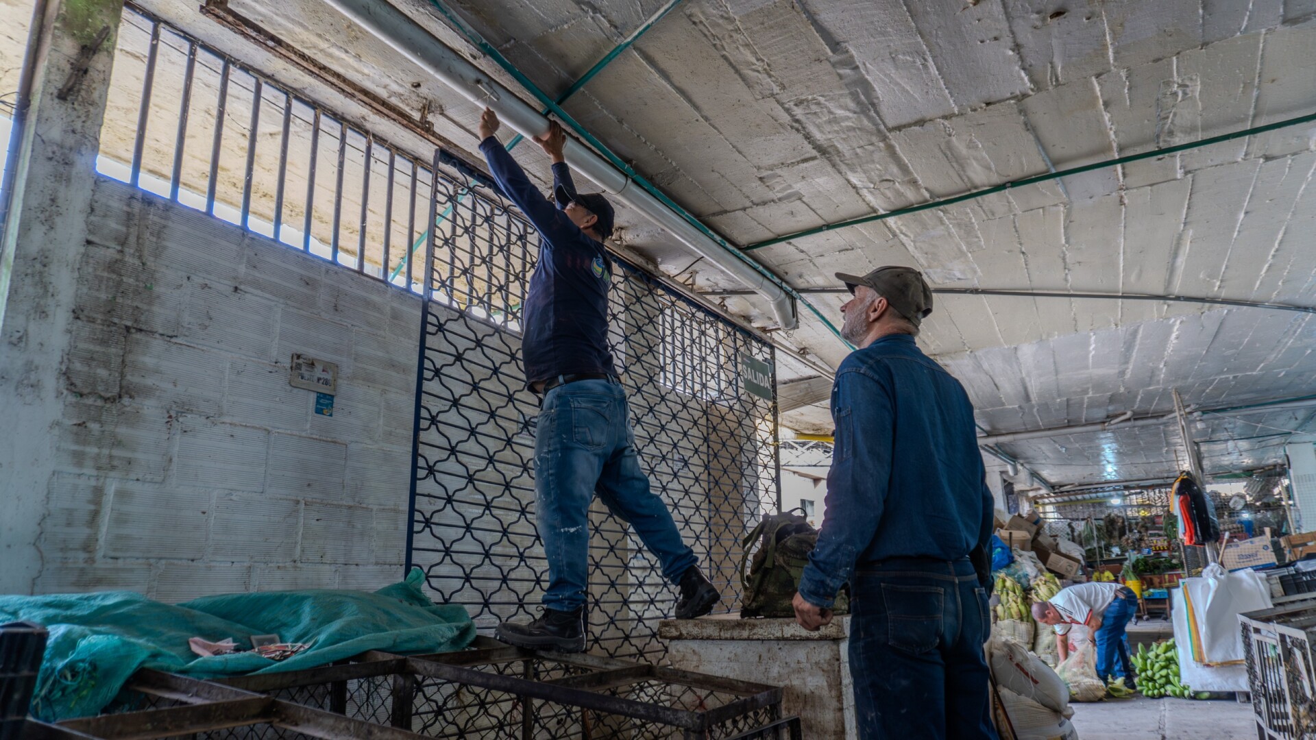 ¡Renace la Plaza de la 14!: Infibagué impulsa su transformación