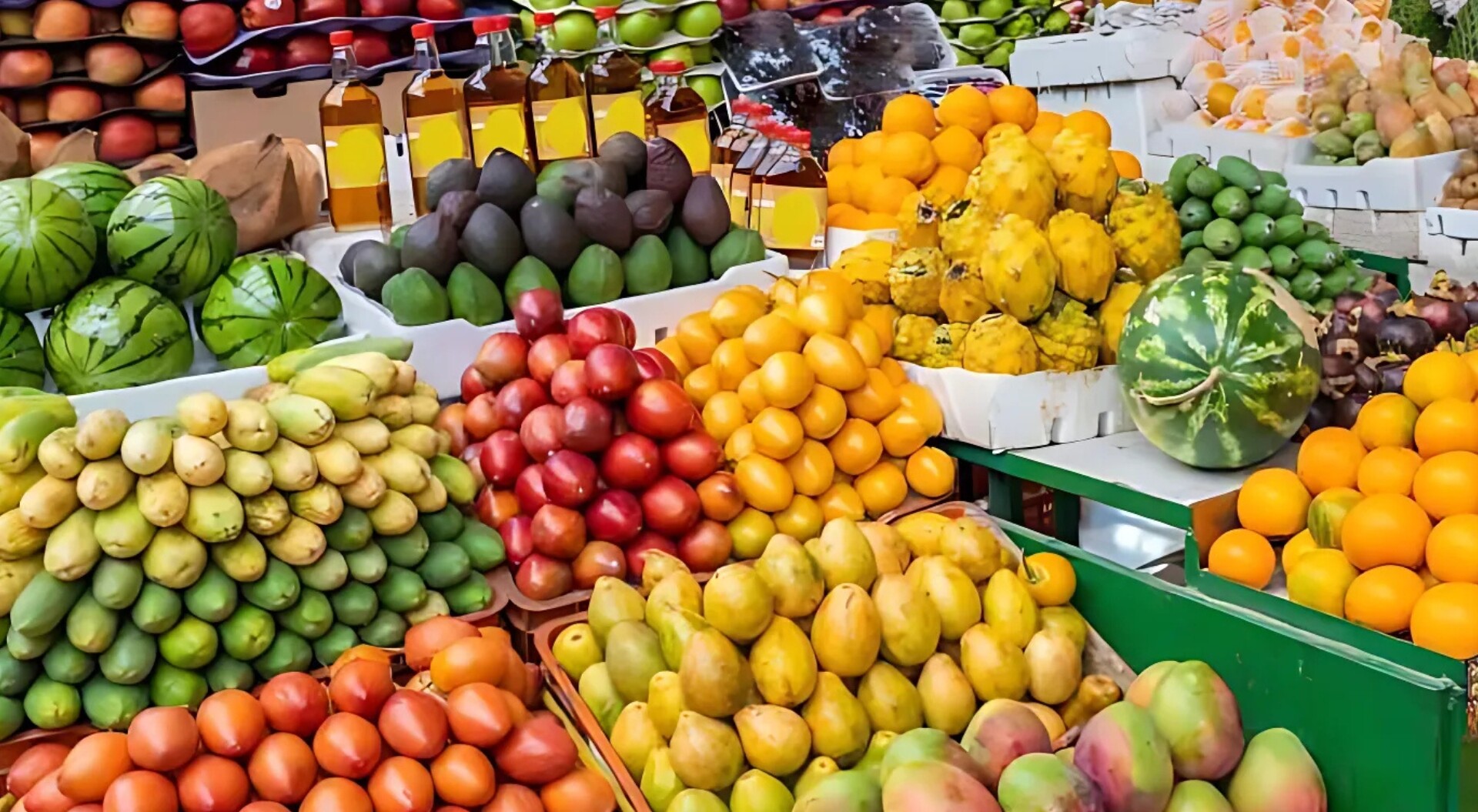 Mariquita celebra la Agroferia Expofrutas 2025