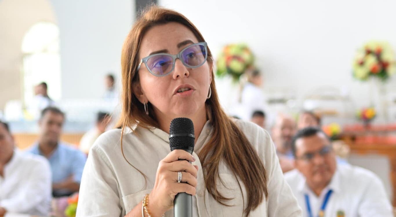 ¿Qué viene para Érika Palma tras dejar la Alcaldía de Ibagué?