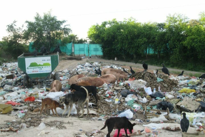 El drama de vivir junto a un botadero de basura