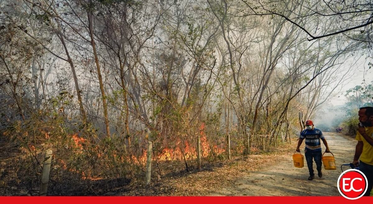 “Es una tragedia ambiental”: alcalde de San Luis por los incendios forestales