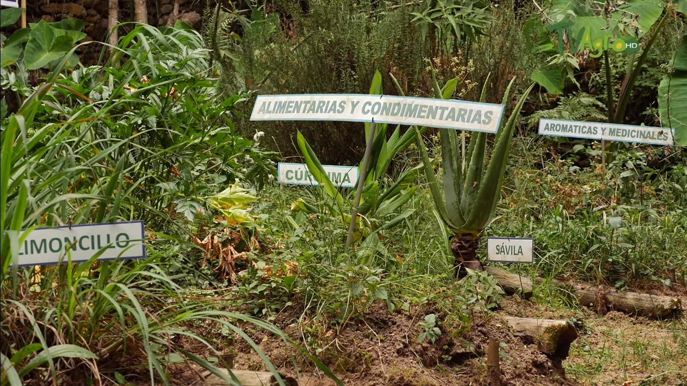 Unibagué realiza la ‘Feria Respirando Región’