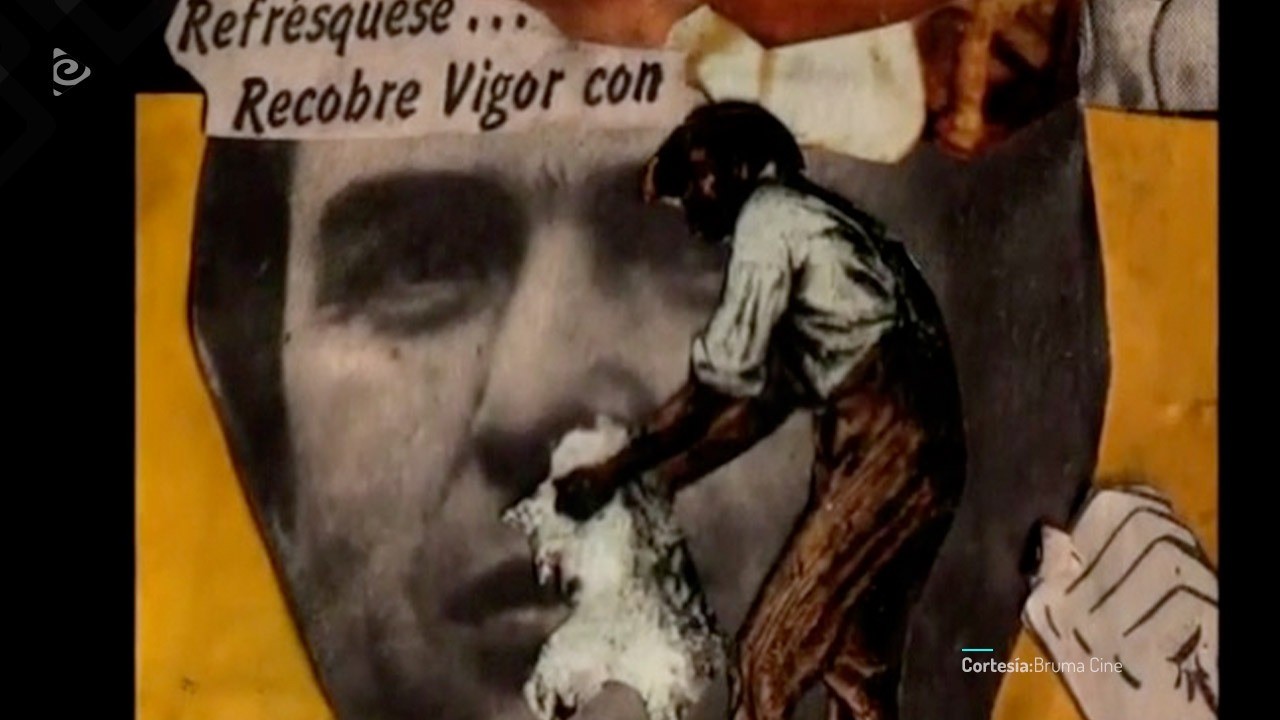 Estas son nueve películas colombianas que abordan la identidad de género diversa