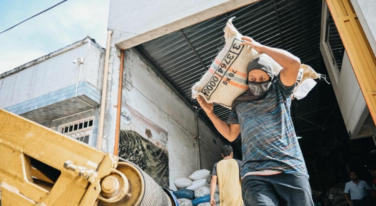 Exportaciones de café ibaguereño crecieron un 248%