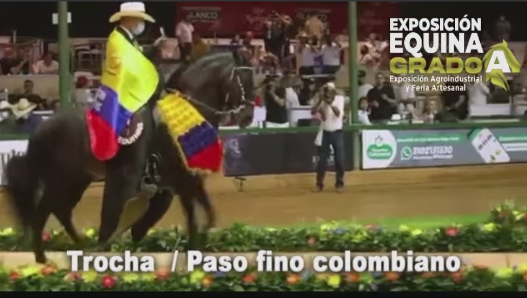 Exposición Equina Grado A en Mariquita