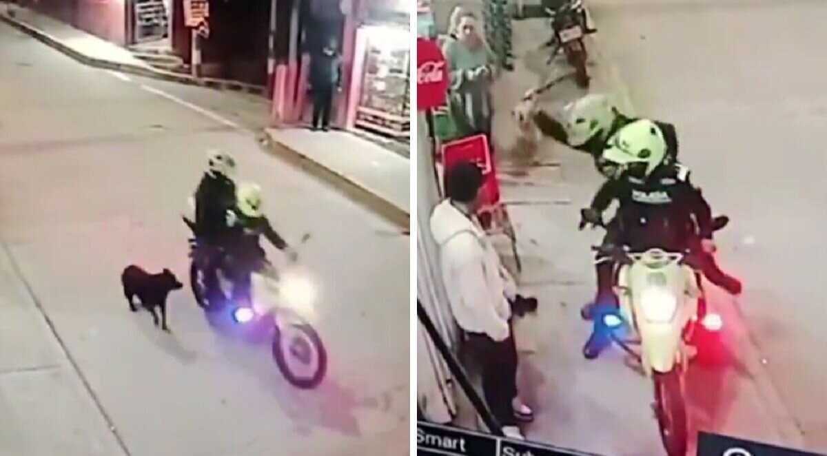 Expulsados los dos patrulleros de la Policía que causaron maltrato animal