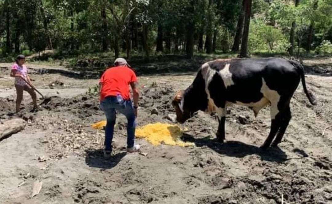 Feria gastronómica en el barrio Baltazar de Ibagué