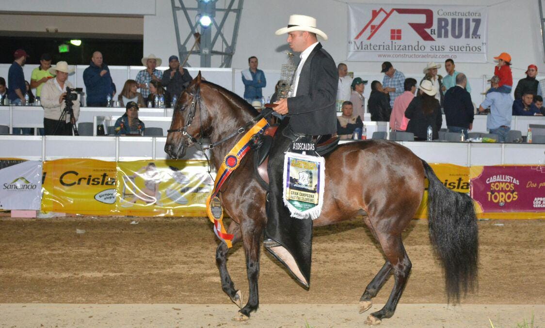 Feria y exposición equina este fin de semana en El Líbano