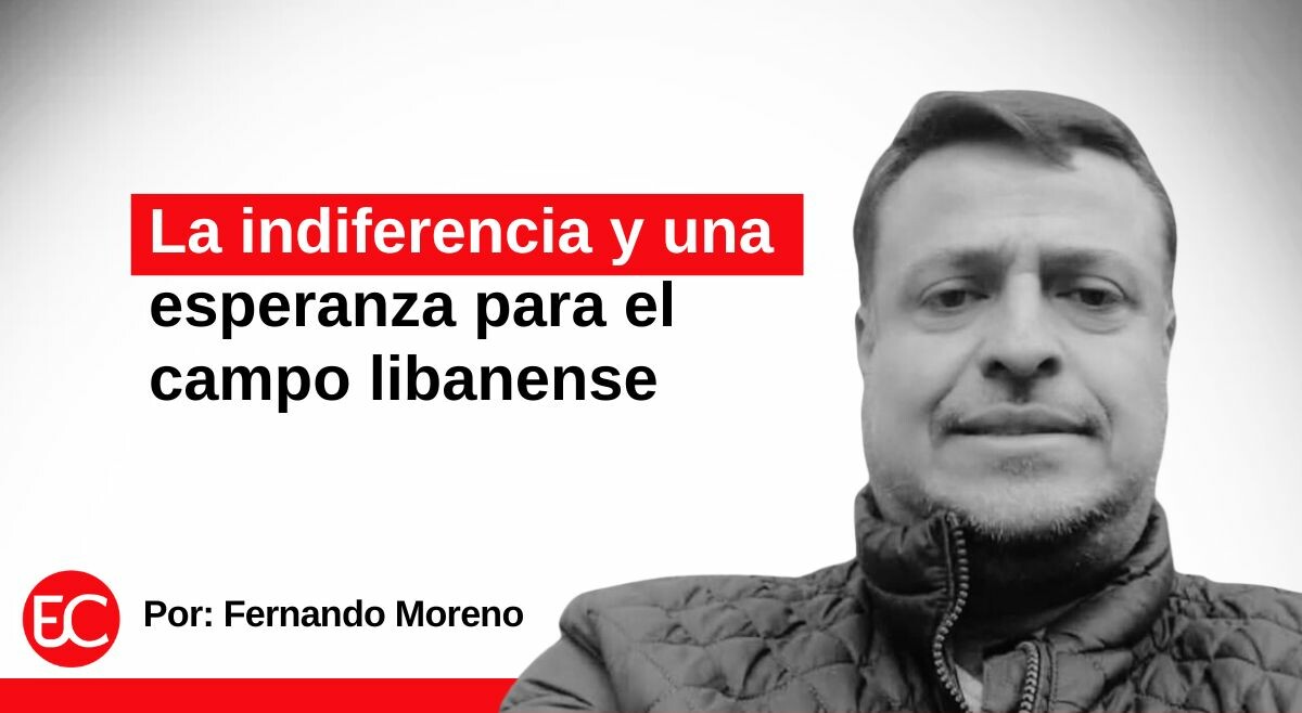 La indiferencia y una esperanza para el campo libanense