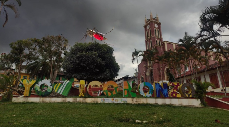 Alerta roja en Icononzo por muerte confirmada a causa de fiebre amarilla