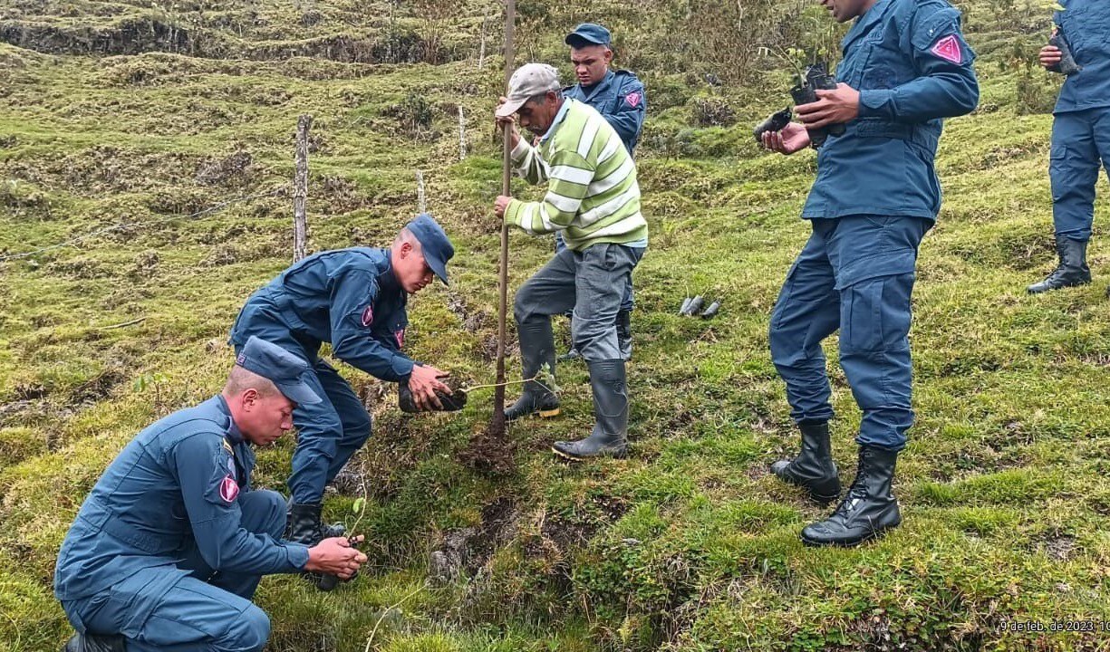 Después de siete años, finaliza proceso de desminado en Roncesvalles, Tolima