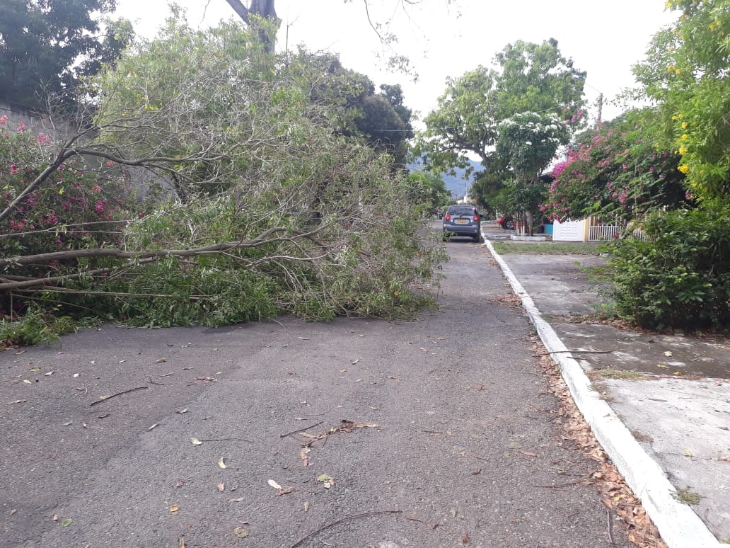 Pánico en Honda por vendaval
