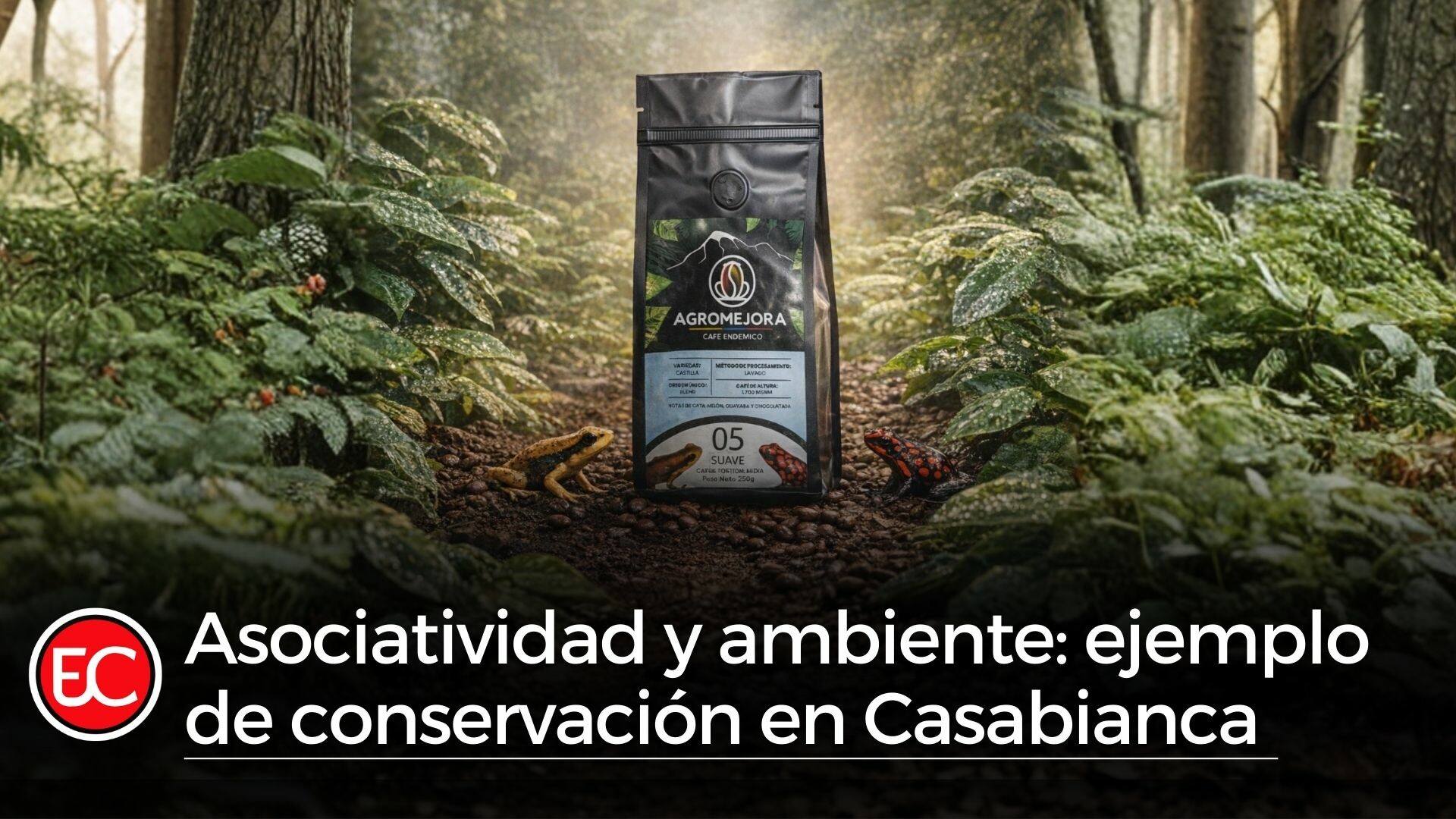 Asociatividad y ambiente: ejemplo de conservación en Casabianca