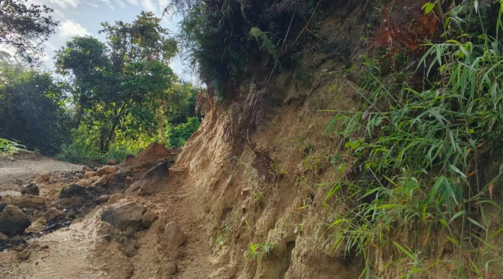 Refuerzan la atención en zona rural de Ibagué ante emergencias generadas por lluvias