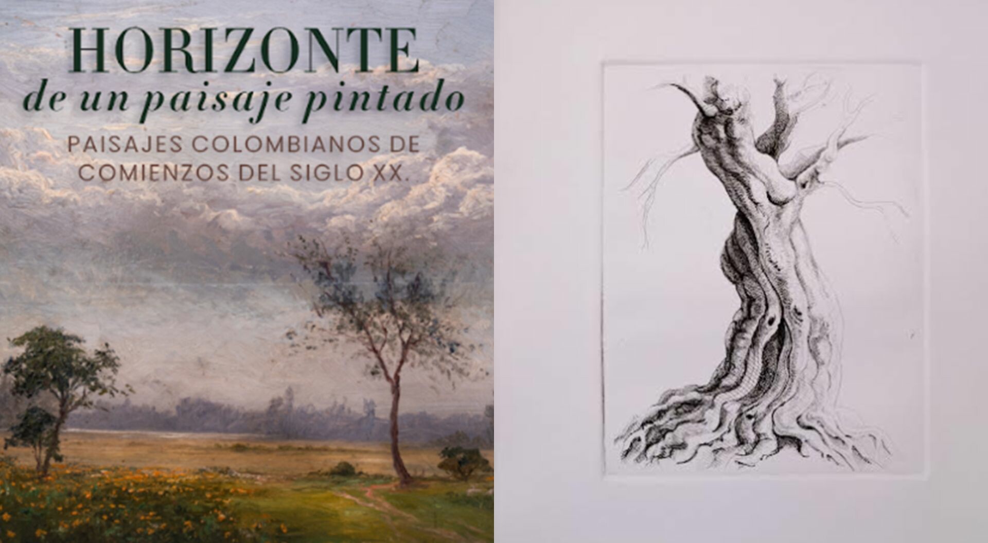 Con seis nuevas exposiciones, el MAT vuelve a sorprender | El Cronista |  Periodismo de análisis y opinión de Ibagué y el Tolima