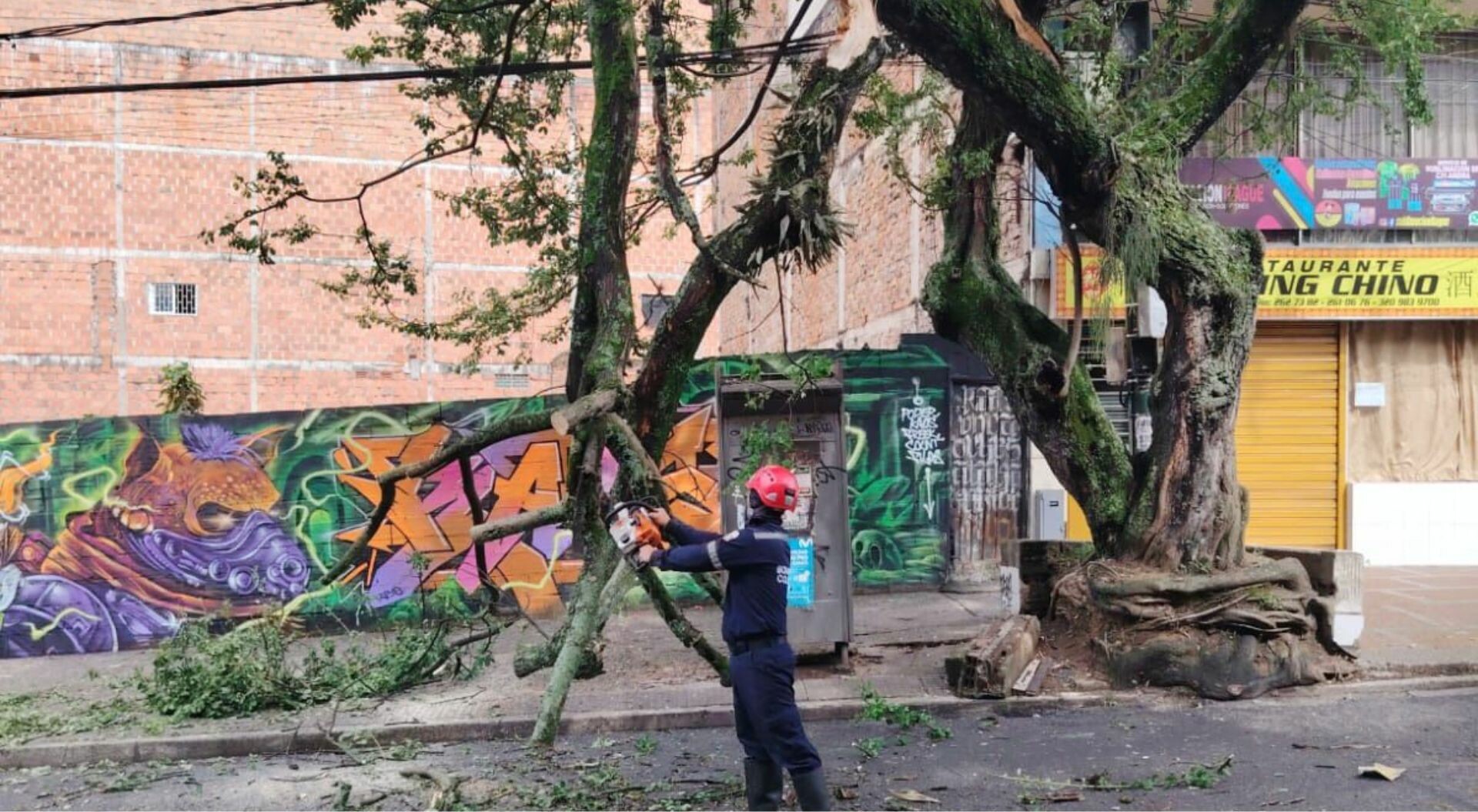 Fuertes lluvias causaron inundaciones y caída de árboles en Ibagué