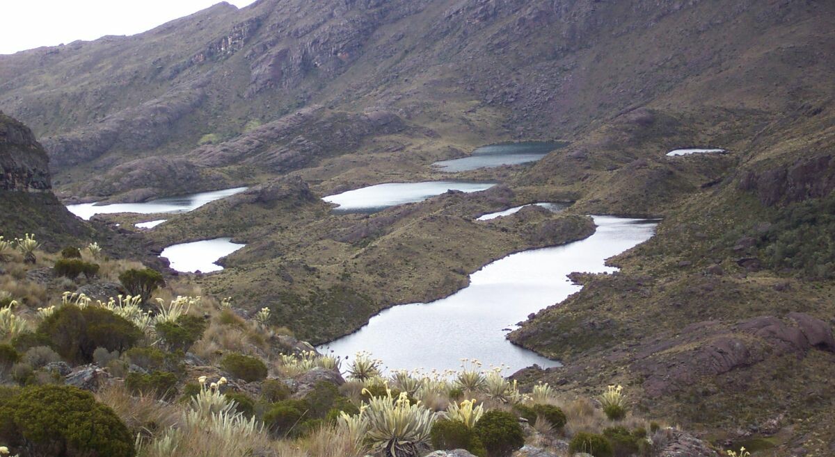Gobierno de De la Espriella revoca reserva ambiental sobre 1.499 hectáreas en Santurbán