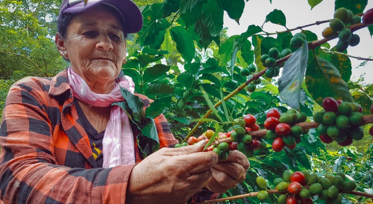 Gobierno insiste al Congreso destrabar la Jurisdicción Agraria