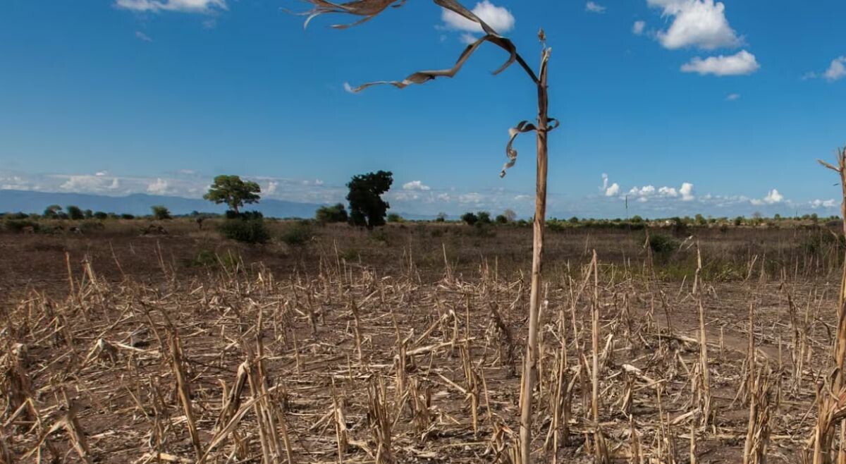 Hay 90 % de probabilidad de que El Niño persista hasta 2027