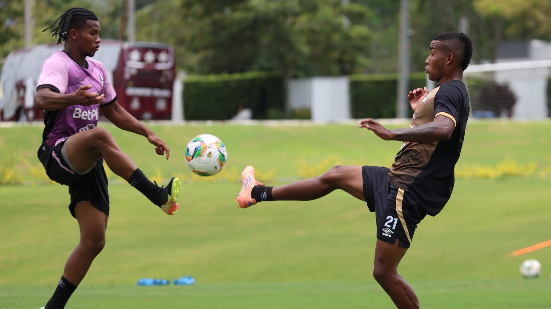 Deportes Tolima enfrenta al último en la tabla