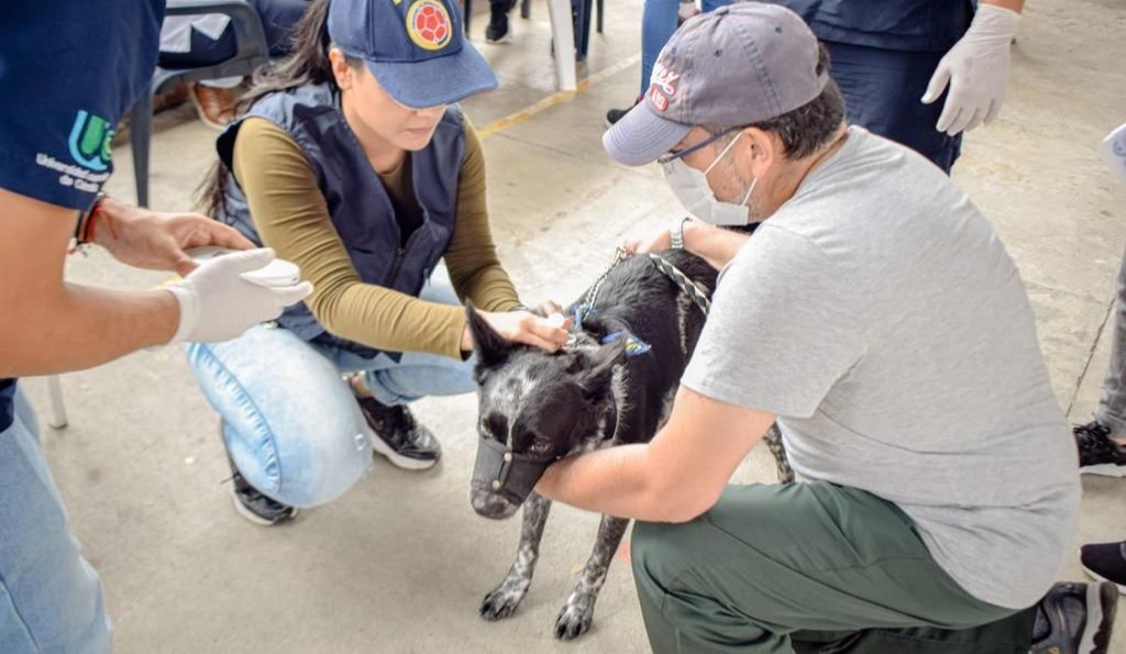 Huella Animal llegó al Jordán séptima etapa
