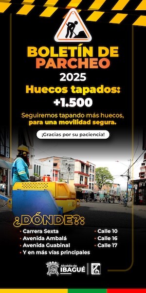 Alcaldia de Ibague 2