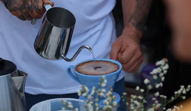 Ibagué con aroma de café, llega el Café Festival