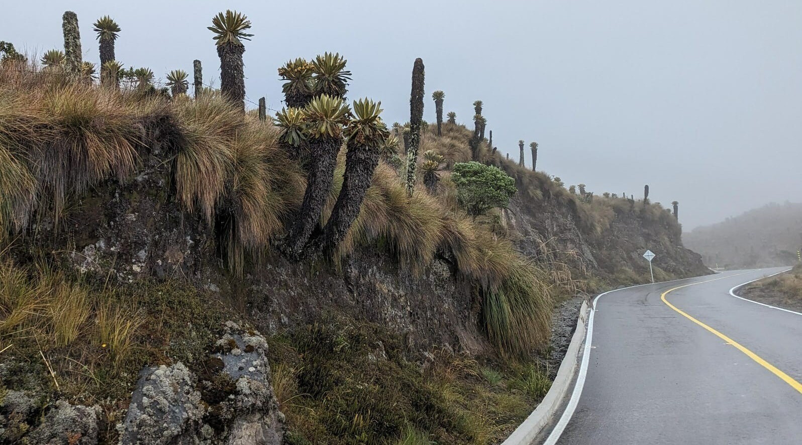Tolima define pico y placa en la vía Murillo – La Esperanza para el segundo trimestre de 2026