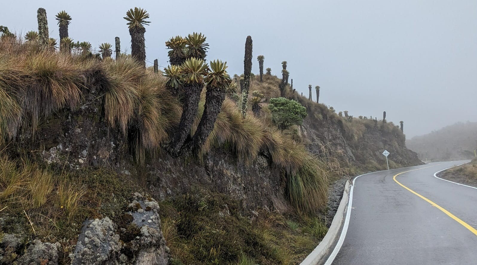 Sin pico y placa pero bajo estricto control ambiental vía Murillo – Manizales
