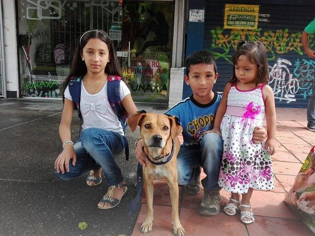 Se cumplió jornada de adopción canina organizada por el CAPA