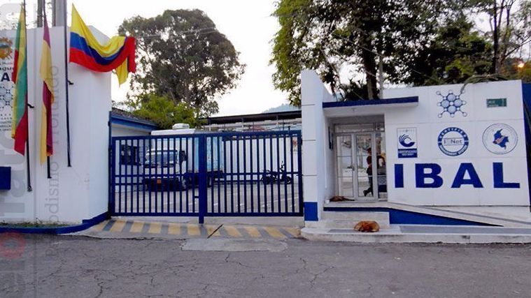 IBAL tendrá horario de atención especial el 9 de junio