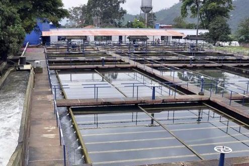 Ibaguereños malgastan el agua 